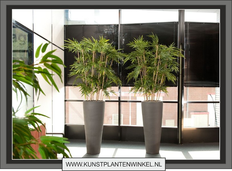 bamboe de luxe kantoor 2